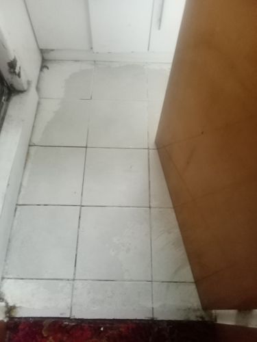 IMG_20240323_142631.jpg IMG_20240323_142631.jpg