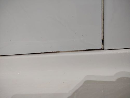 1000090334.jpg 1000090334.jpg