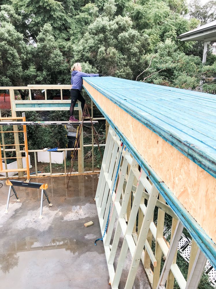 IMG_1956.JPG IMG_1956.JPG