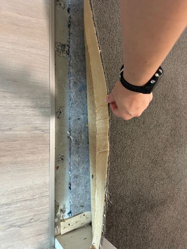 IMG_2126.jpeg IMG_2126.jpeg