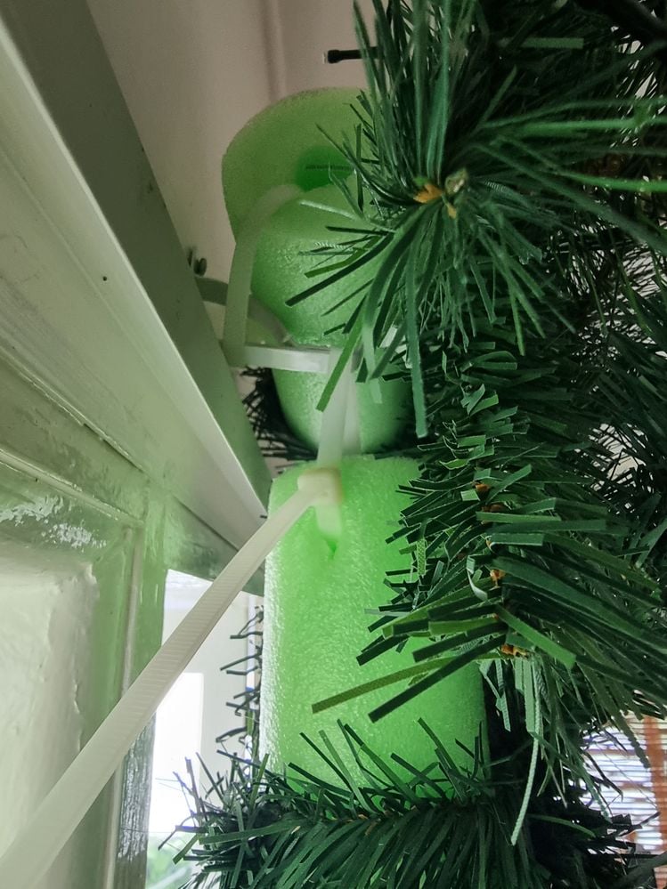 20231210_095553.jpg 20231210_095553.jpg