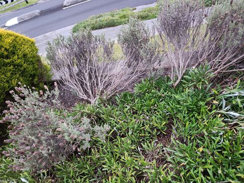 20250218_201735.jpg 20250218_201735.jpg