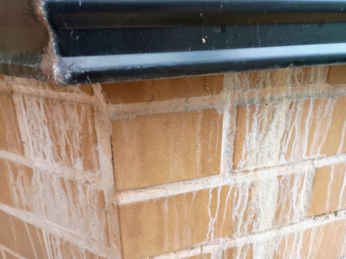 IMG_20250111_105235134_AE.jpg IMG_20250111_105235134_AE.jpg