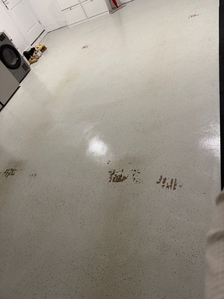 IMG_3640.jpeg IMG_3640.jpeg