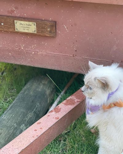 23AC1F5A-9DAE-4D3D-BB87-AC410AF94829.jpeg 23AC1F5A-9DAE-4D3D-BB87-AC410AF94829.jpeg