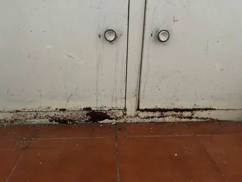 IMG_8386.jpeg IMG_8386.jpeg