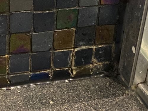 IMG_4802.jpeg IMG_4802.jpeg