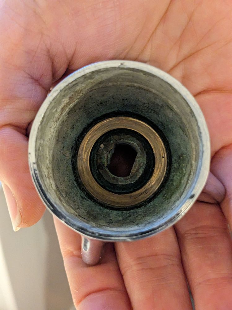 PXL_20240405_080517714.MP.jpg PXL_20240405_080517714.MP.jpg