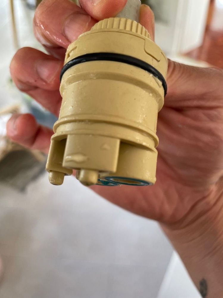 IMG_8605 Large.jpeg IMG_8605 Large.jpeg