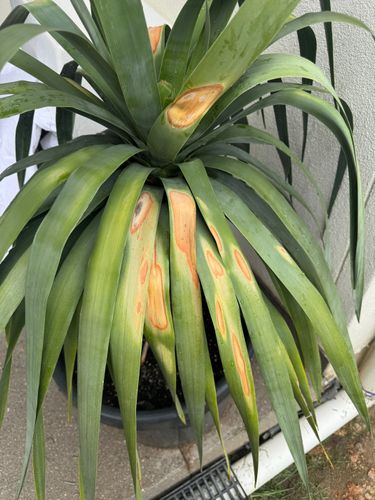 IMG_8371.jpeg IMG_8371.jpeg