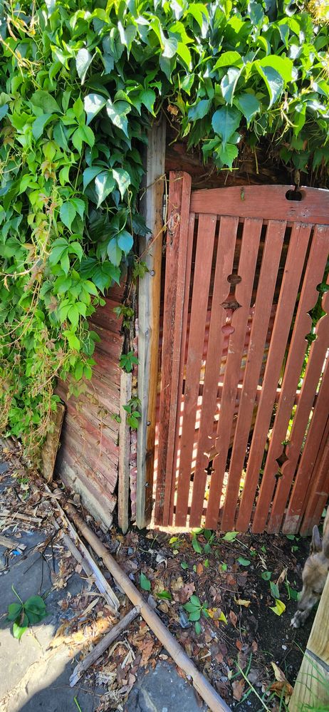 20240109_161029.jpg 20240109_161029.jpg