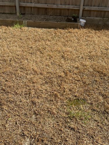 IMG_0383.jpeg IMG_0383.jpeg