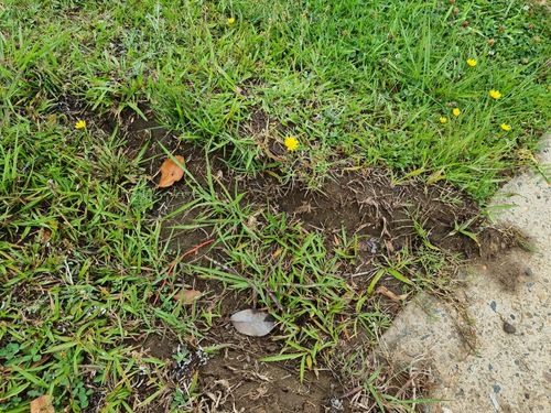 20251216_093659.jpg 20251216_093659.jpg