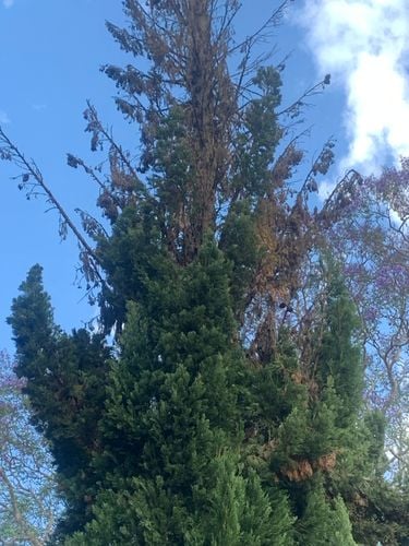 IMG_7615.jpeg IMG_7615.jpeg