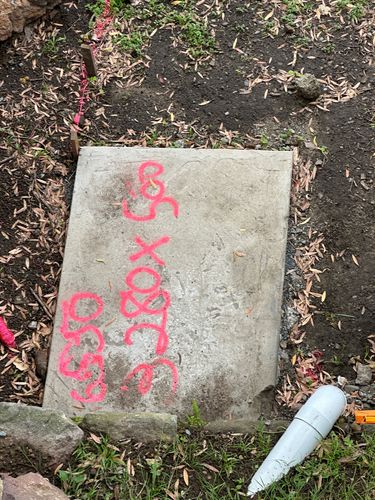 IMG_1034.jpeg IMG_1034.jpeg