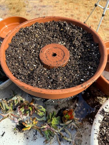 IMG_1232.jpeg IMG_1232.jpeg