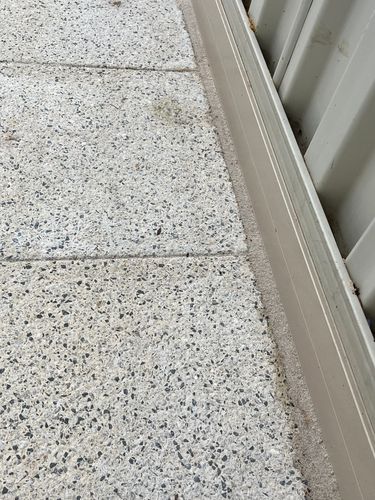 IMG_7031.jpeg IMG_7031.jpeg