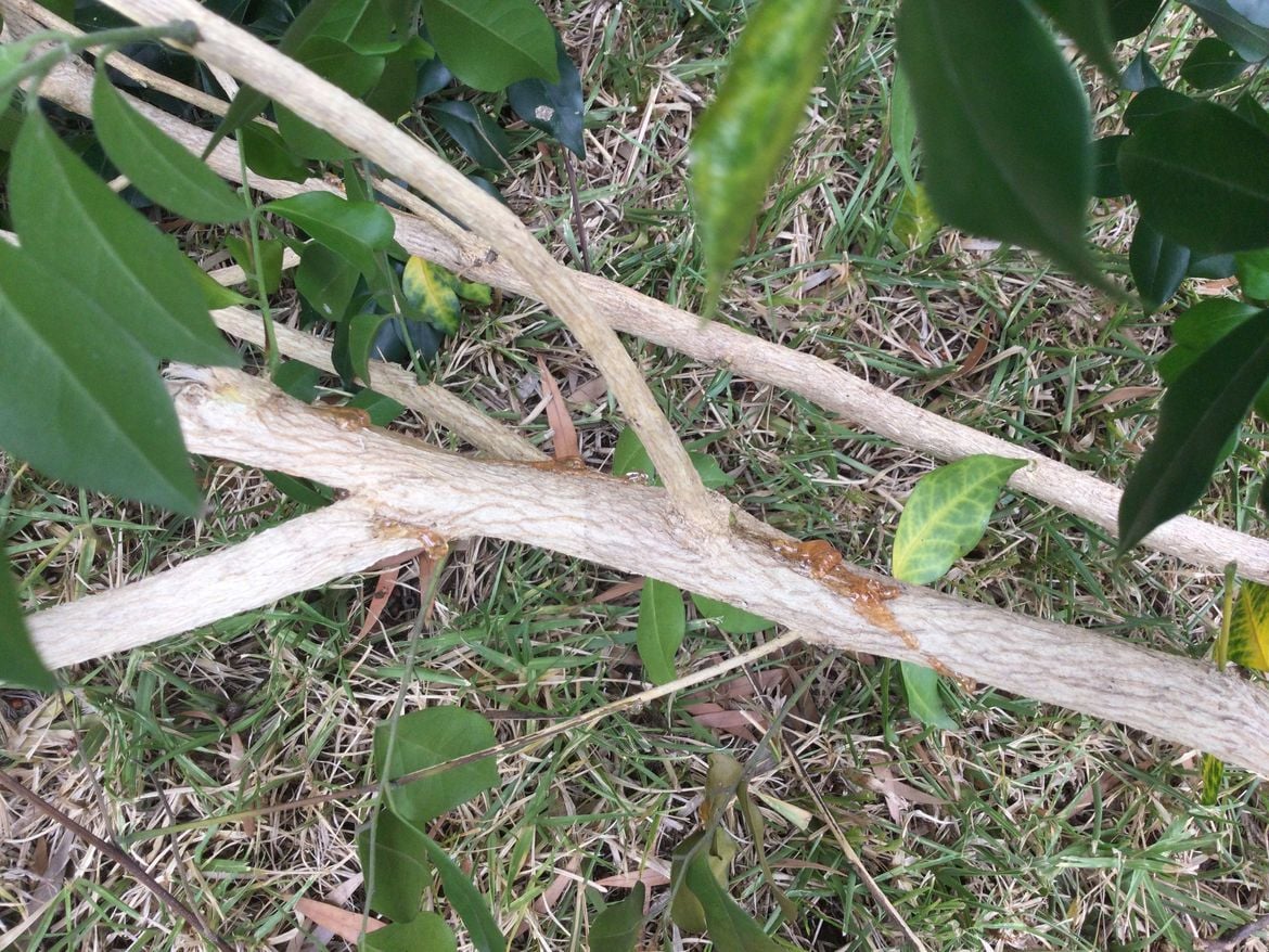 CD42F31A-F395-4143-BF5D-A717B260D3D8.jpeg CD42F31A-F395-4143-BF5D-A717B260D3D8.jpeg