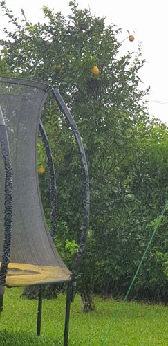 16513596840623407356502695533177.jpg 16513596840623407356502695533177.jpg