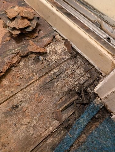 1000047364.jpg 1000047364.jpg