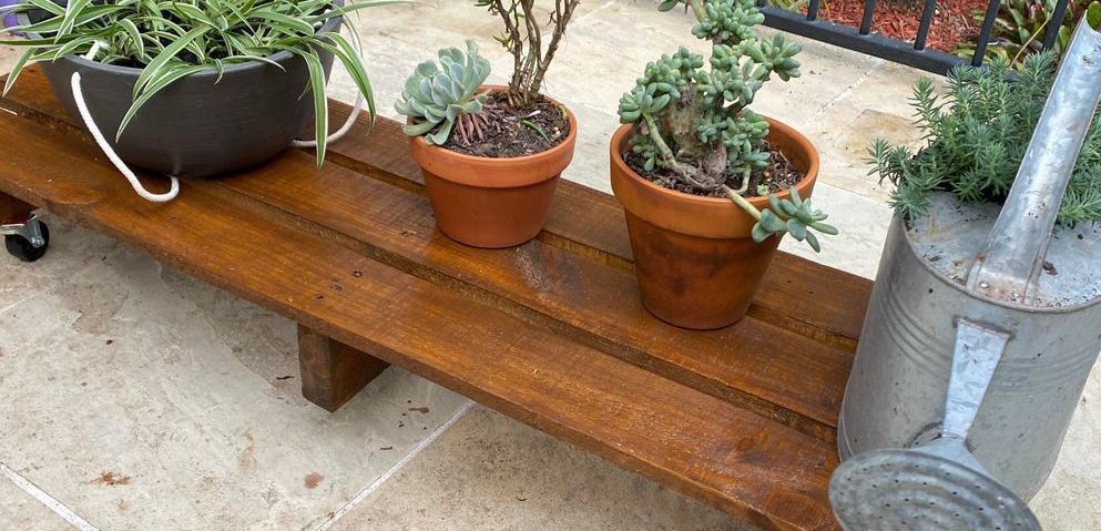 Skateboard-style stand by Greenshoots.jpg Skateboard-style stand by Greenshoots.jpg