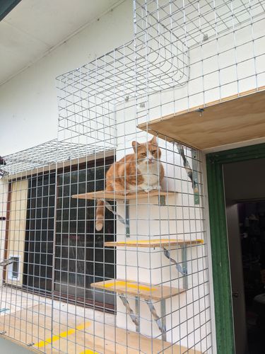 PXL_20230315_214425854.jpg PXL_20230315_214425854.jpg