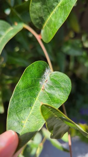 1000014288.jpg 1000014288.jpg