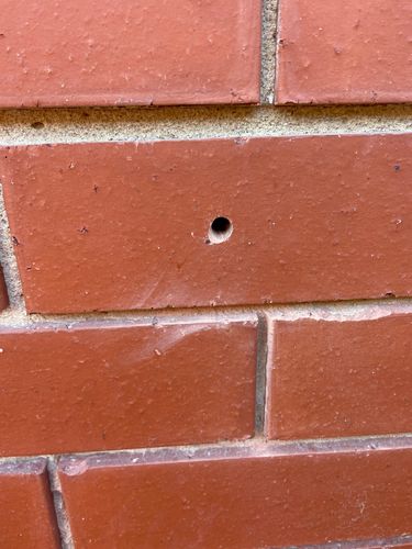 IMG_7370.jpeg IMG_7370.jpeg