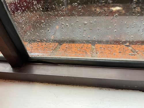 3B0008BF-1A8D-4EA1-BA2D-C14885A9BA11.jpeg 3B0008BF-1A8D-4EA1-BA2D-C14885A9BA11.jpeg