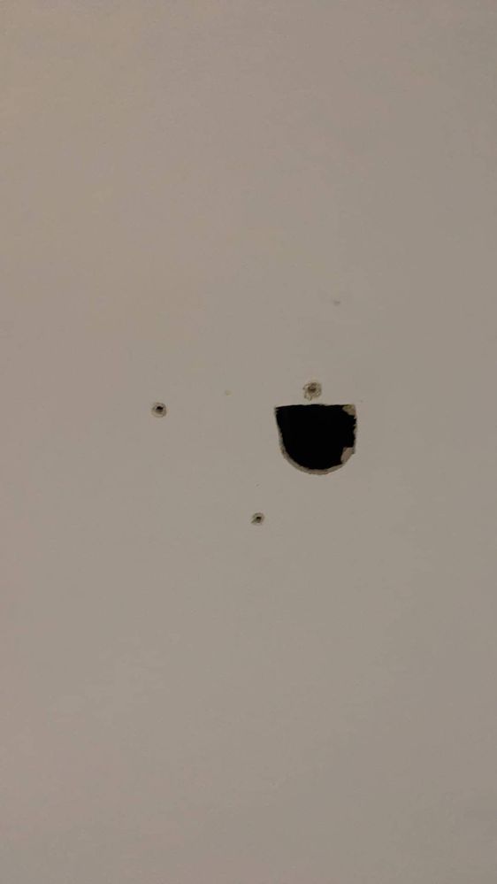 IMG_9905.JPG IMG_9905.JPG