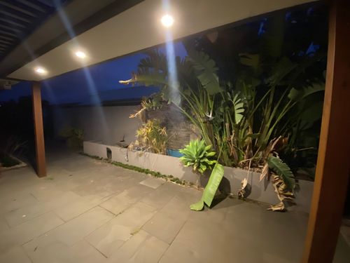 IMG_3494.jpeg IMG_3494.jpeg