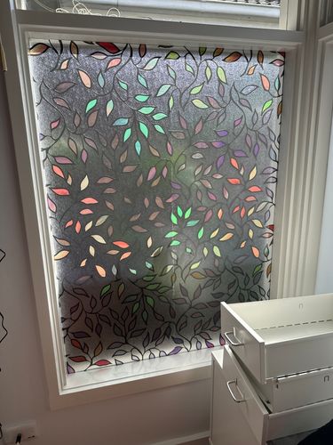 IMG_4392.jpeg IMG_4392.jpeg