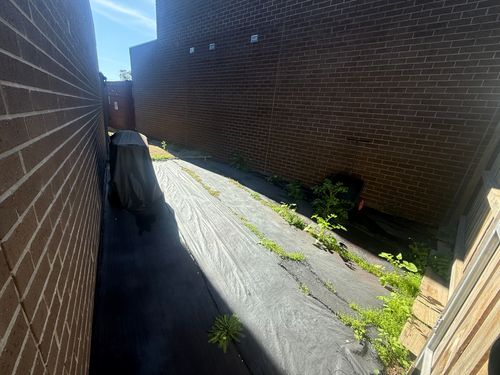 IMG_3225.jpeg IMG_3225.jpeg