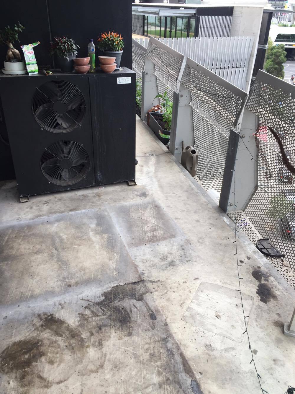 16651062_10154070771617434_853051867_o.jpg 16651062_10154070771617434_853051867_o.jpg