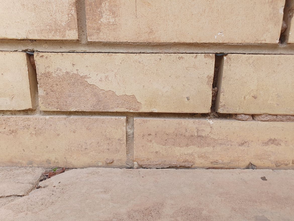 unnamed.jpg unnamed.jpg