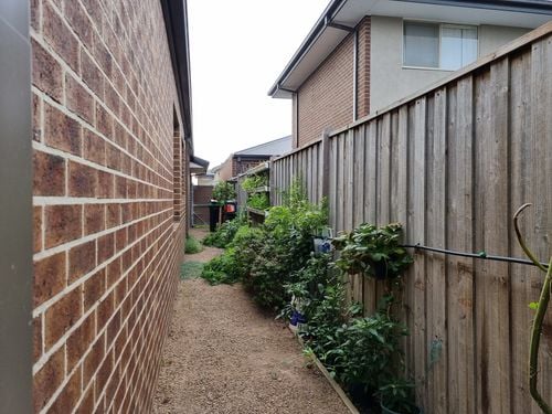 20230303_093103.jpg 20230303_093103.jpg