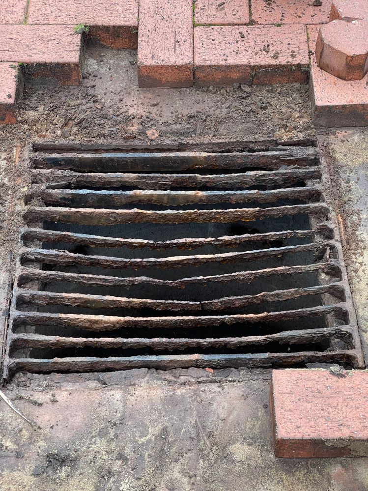 IMG_8862.jpeg IMG_8862.jpeg