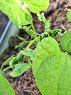 20240916_134939.jpg 20240916_134939.jpg