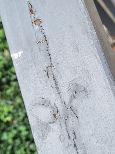 1000072041.jpg 1000072041.jpg