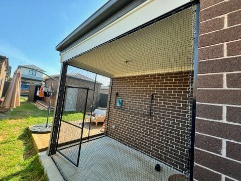 IMG_20241228_070432.jpg IMG_20241228_070432.jpg