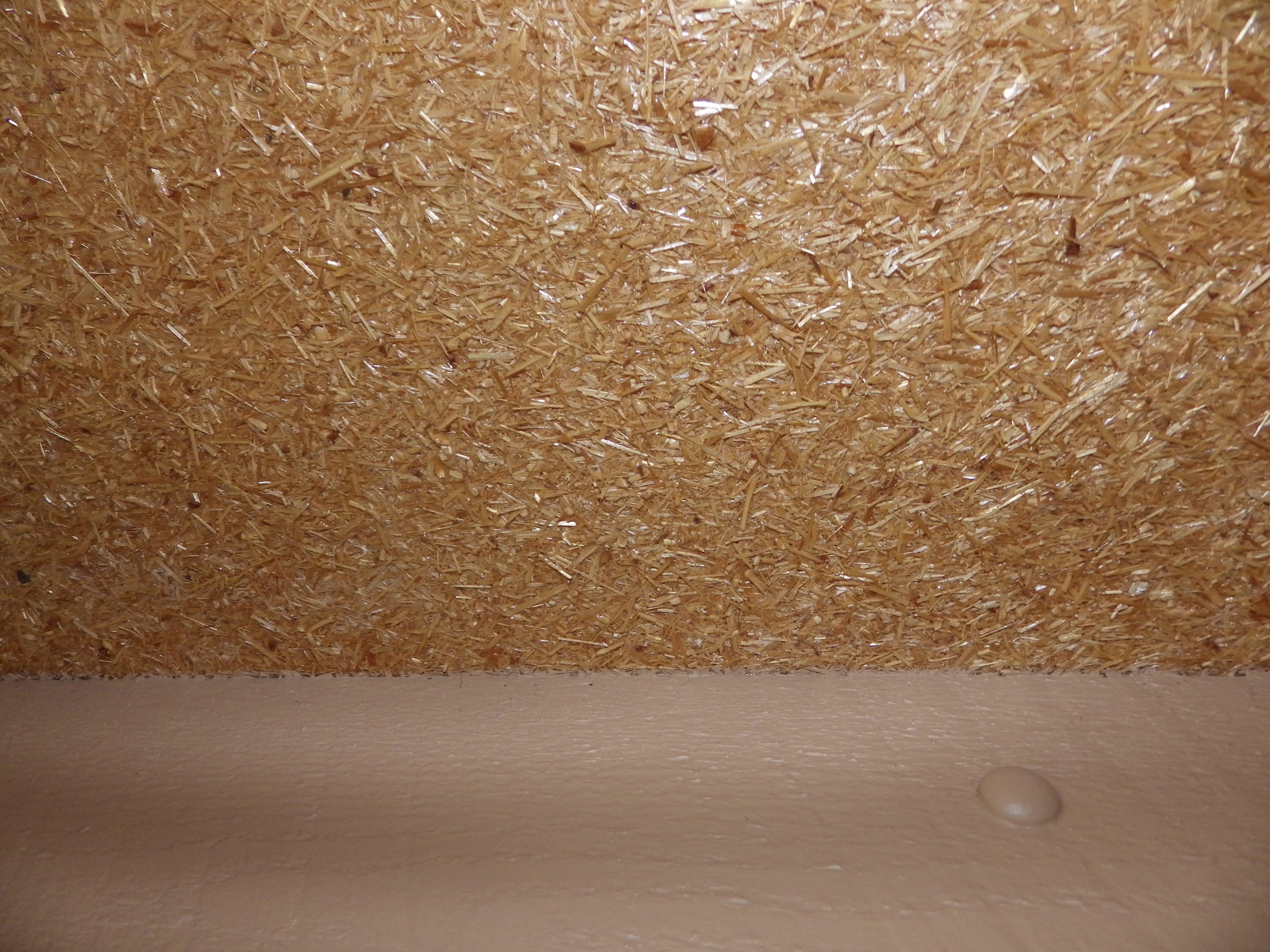 IMGP0003.JPG IMGP0003.JPG