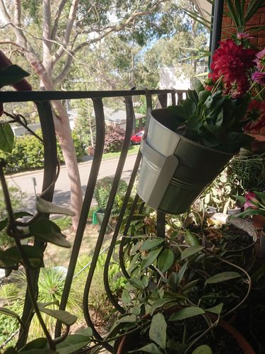 DSC_0016.JPG DSC_0016.JPG