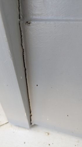 1000008387.jpg 1000008387.jpg