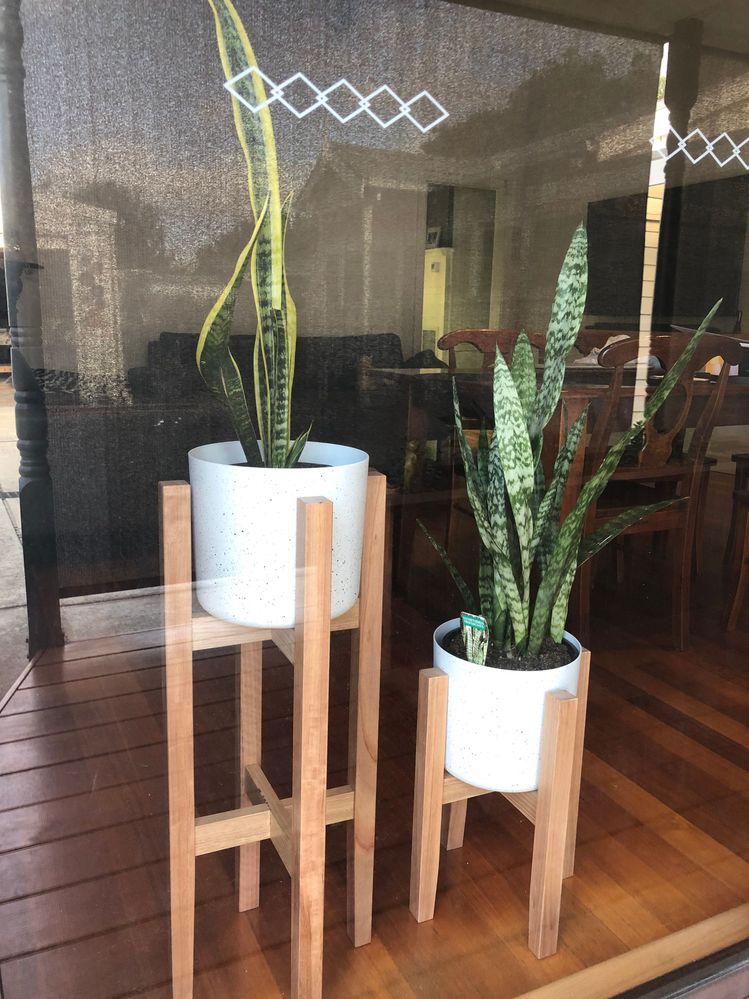 IMG_8293.JPG IMG_8293.JPG