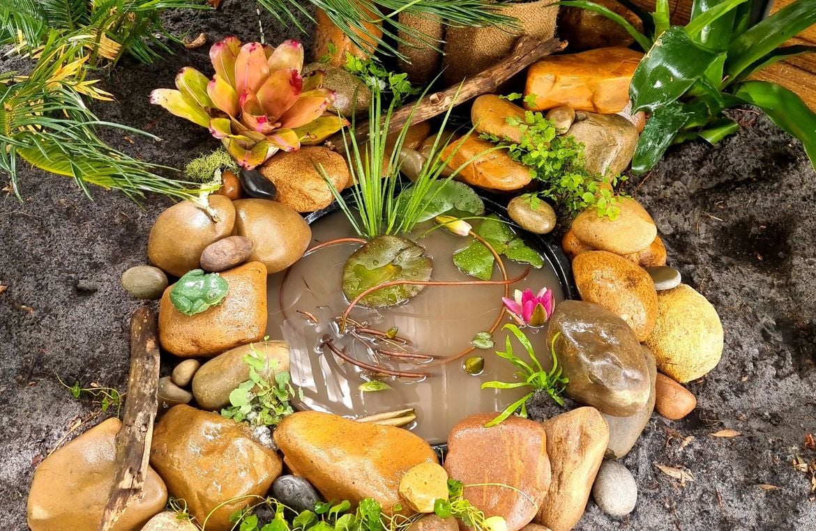 Frog hotel lily pond.jpg Frog hotel lily pond.jpg