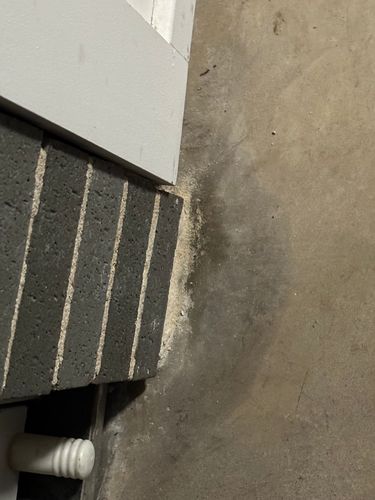 IMG_4669.jpeg IMG_4669.jpeg