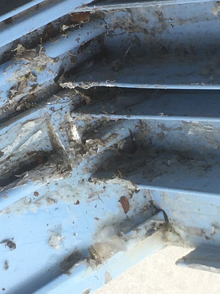 IMG_4406.JPG IMG_4406.JPG