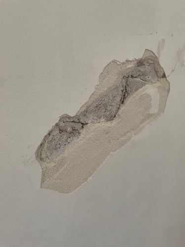 IMG_5012.jpeg IMG_5012.jpeg