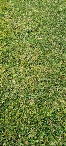 1000066238.jpg 1000066238.jpg