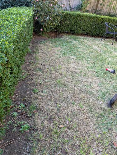 1000034737.jpg 1000034737.jpg